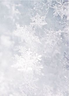 snow flakes are seen on the surface of water in this image taken from above