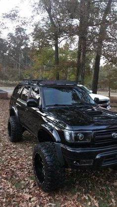 a black truck is parked in the leaves near some trees and other things on the ground