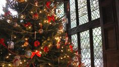 a decorated christmas tree in front of a window