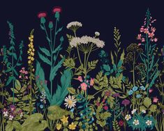 an illustration of flowers and plants in the night sky with green grass, pink daisies, blue thistles, and other wildflowers