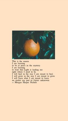 an orange sitting on top of a tree filled with green leaves next to a poem