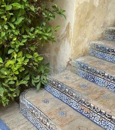 some blue and white steps next to a bush