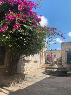 an outdoor courtyard with pink flowers on the tree and stone steps leading up to it