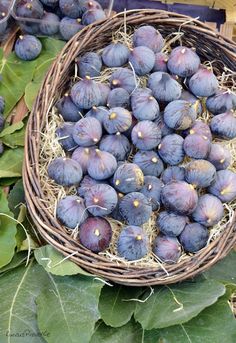 a basket filled with lots of ripe figs