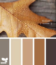 the color palette is brown, green, and gray with an oak leaf on it