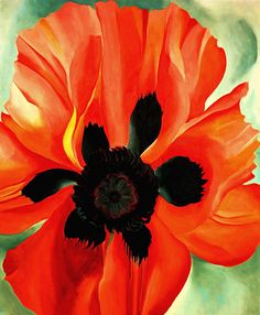 an orange and black flower is shown in this painting by artist susan grisell