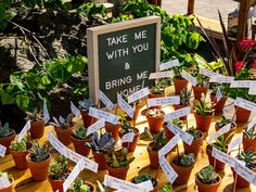 there are many potted plants on the table with signs that say take me with you and bring me home