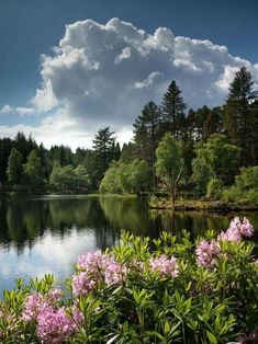 a lake surrounded by lots of trees and flowers with clouds in the sky above it