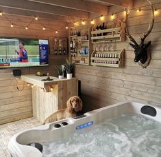 a dog is sitting in the jacuzzi watching tv