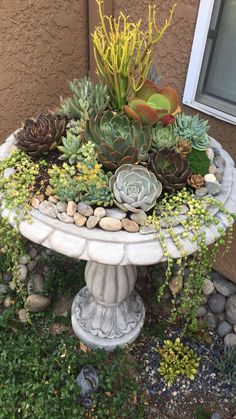 succulents and other plants are arranged on a pedestal