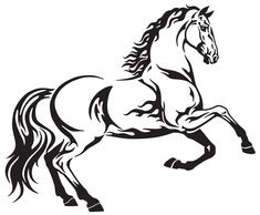 black and white drawing of a horse running galloping on its hind legs, front view