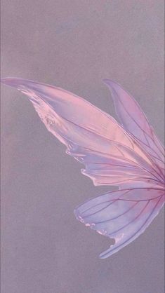 a pink flower with purple petals floating in the water on a gray background and an image of a butterfly's wing