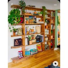 a living room filled with lots of wooden shelves covered in potted plants and books