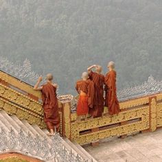 some monks are standing on the top of a building and looking at something in the distance