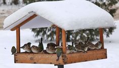 a group of birds sitting on top of a wooden bird feeder in the snow with words above it