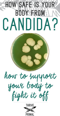 If you're suffering from Candida overgrowth like I was for decades, check out how I finally found healing and balance with a new natural remedy approach. Get Rid Of Candida, Cooking With Turmeric, Holistic Health Remedies, Natural Healing Remedies, Diy Remedies, Cold Home Remedies, Holistic Remedies, Natural Therapy