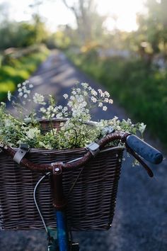 a bicycle with flowers in the basket is parked on the side of the road,