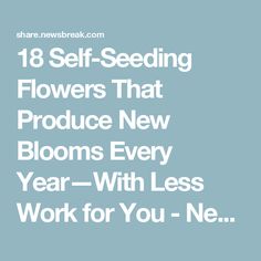 18 Self-Seeding Flowers That Produce New Blooms Every Year—With Less Work for You - NewsBreak Front Landscape Design, Garden Zone 6b, Beautiful Homestead, Indoor Gardening Ideas, Medicine Recipes, Entertaining Dinner, Herbal Medicine Recipes, Front Landscape, Full Sun Perennials