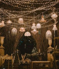 a room filled with lots of lights and plants