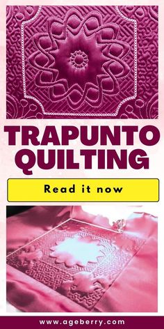 a book cover with the title'trapunto quilting read it now '