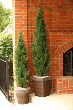 two potted plants sitting on the side of a brick wall next to a fire place