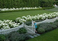 a woman walking up the stairs in front of some white flowers and bushes on a green lawn