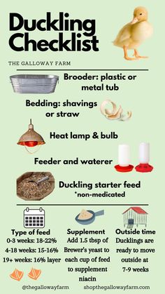 the duckling checklist is shown with instructions for how to use it