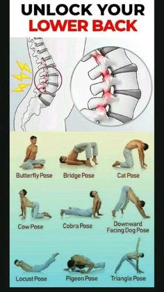 lower back exercises pain sciatic nerve sciatica relief Butterfly Pose, Trening Sztuk Walki, Gym Workout Planner, Lower Back Pain Exercises, Gym Workout Chart, Yoga For Back Pain, Vans Shoe, Abs And Cardio Workout