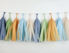 multicolored tissue tassels hanging on a string against a white wall,