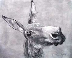 a pencil drawing of a deer's head