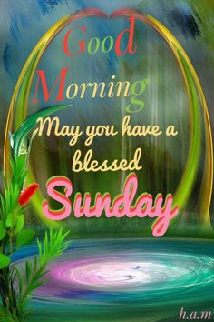 good morning may you have a blessing sunday greeting card with water and plants in the background