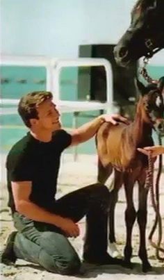 a man kneeling down next to a horse