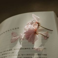 an open book with pink flowers on it