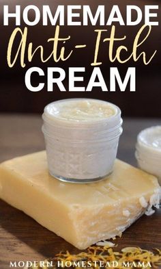 Modern Homestead, Anti Itch Cream, Diy Kosmetik, Skin Cleanser, Anti Itch, Natural Healing Remedies, Diy Remedies, Homemade Diy