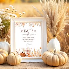 some pumpkins and flowers are sitting in front of a framed sign that says mimosa