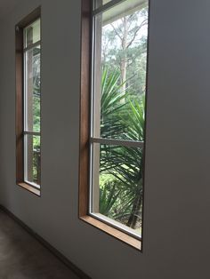 two windows in a white room with trees outside