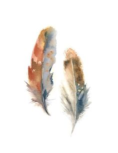 two watercolor feathers on a white background