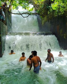 several people are in the water near a waterfall