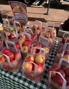 apple at farmers market apple picking apple orchard pumpkin patch pumpkin Fall Farmers Market Aesthetic, Fall Apple Picking Aesthetic, Fall Time Aesthetic, Apples Aesthetic, Apple Picking Aesthetic, Fall Farmers Market, Fall Apple Picking, Apple Picking Fall, Autumn Market