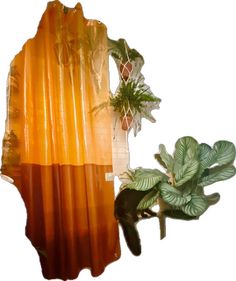 an orange shower curtain next to a potted plant on a white background with the curtains pulled back