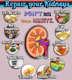 Healthy Liver And Kidney Diet, Kidney Remedies Natural, Juice For Kidney Health, Natural Remedies For Kidneys, Kidney Care Tips, Drinks For Kidney Health, Foods Good For Kidney Function, Kidney Cleanse Remedies, Best Foods For Kidney Health