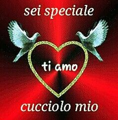 two doves in the shape of a heart with words written on it that read, sei speciale ti amo cuccilo mio