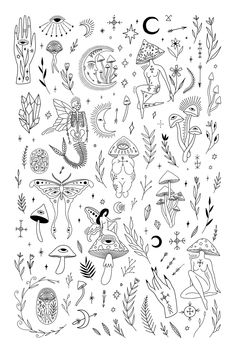 an illustration of different types of plants and animals in black ink on a white background