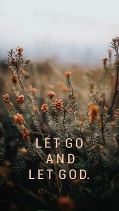 the words let go and let god are shown in front of a field full of flowers