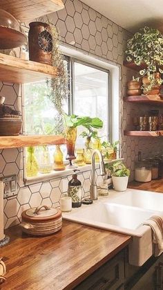 a kitchen with wooden counters and shelves filled with plants