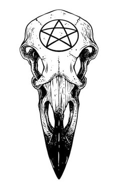 an animal skull with a pentagramon on it's head