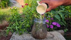 a person pouring water into a jar on top of a rock in front of flowers