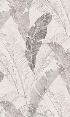 a wallpaper with leaves on it in grey and white colors, including one large leaf