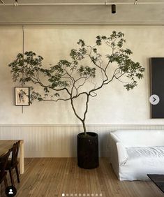 a bonsai tree in a black vase next to a white couch and wooden table