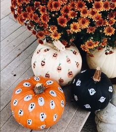 pumpkins and flowers are sitting on the porch